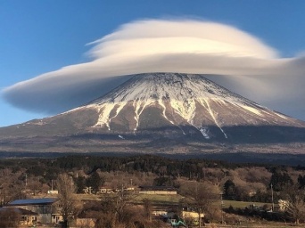 橋向 真さんのツイートより