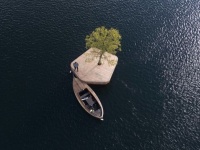 コペンハーゲンの港に浮かぶ、一本だけ木が生えたミニ浮島