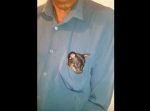 胸ポケットにすっぽり収まる子犬が可愛すぎて悶絶する…！
