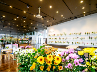 みなとみらいPRセンターのプレスリリース画像