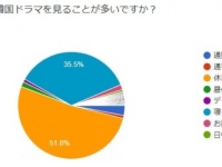 韓ドラ好きに聞いた！　韓ドラ視聴に1番おすすめの動画配信サービスは？