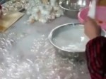 中国の食品工場を覗いてみた⇒ 絶句した理由とは！？