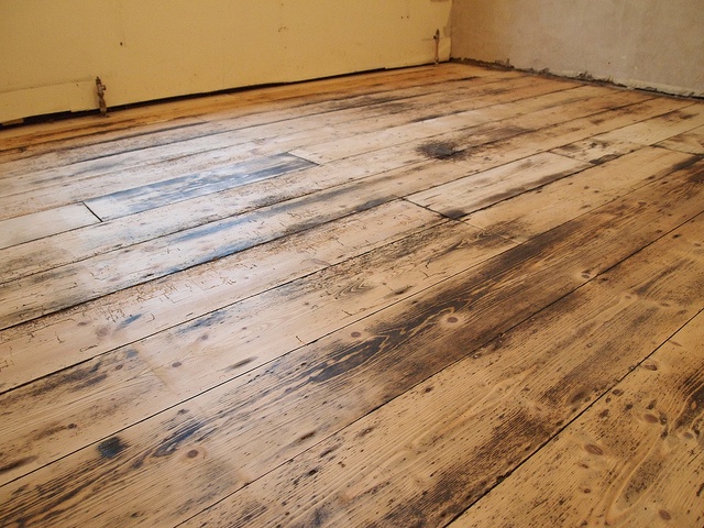 画像はイメージです（Matthew Hutchinsonさん撮影、Flickrより）