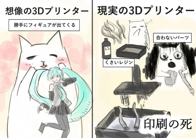 （画像はAurélienさん提供）