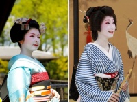 京都フラワーツーリズムのプレスリリース画像