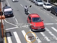 嫌な予感が的中しすぎた。犬が道路を渡ろうとしているのを見て一時停止した車のこの後すぐ！