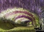 見て癒やされて！　世界の信じられないほど美しい場所１５選