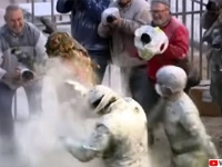 軍服を着て小麦粉と卵を投げ合うスペインの奇祭「エルス・エンファリナッツ」