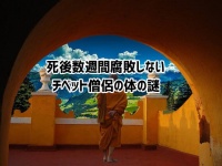 最大で数週間も遺体が腐敗しない、チベット僧侶の体の謎