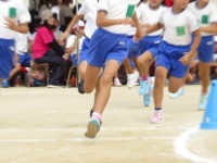 ごぼう抜きの由来とは