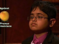 今度は12歳の英国の少年がアインシュタインを超えるIQ値をマーク