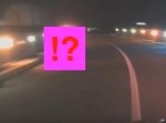 暗い夜の道路脇を走っていたのはなんと〇〇！！