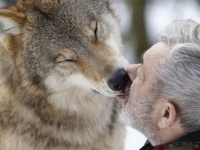 オオカミ保護施設を作り、群れのリーダーとして暮らす79歳のおじいさん（ドイツ）