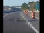 水辺に生息する凶暴なアイツが…　高速道路に侵入！