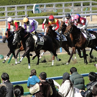 「夏競馬」万券ゲット作戦 「減量騎手」が大波乱を起こす（2）永野猛蔵の技術は新人離れ