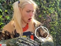 ハチドリさんはとんでもないところに上陸したようです。恐竜の手をつけた女性の胸にソフトランディング