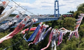 茨城・竜神峡の空に1000匹の鯉が舞う！　大吊り橋と並んで泳ぐ〝群れ〟が生まれた意外な理由