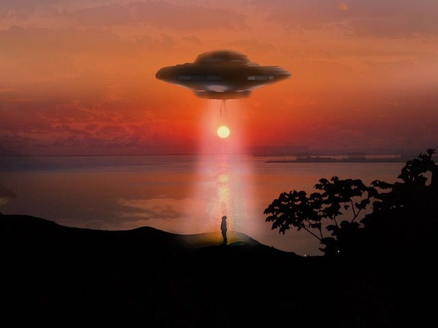 「1週間で3人が宇宙人に誘拐された」と書かれた謎の看板が掲げられたイギリスの森。その真相は?