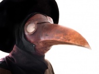 未だに定期的に流行する地域も。ペストに関する知られざる5つの事実