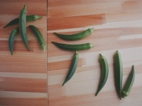 オクラを並べただけなのに...　野菜農園のツイートに16万いいねの大反響→公式も「ようこそ、ホテルokuraへ」