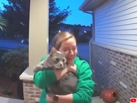室内飼いの猫がいなくなった！飼い主がお気に入りの毛布を玄関に置こうとしたその瞬間、猫と再会！うれしくて号泣