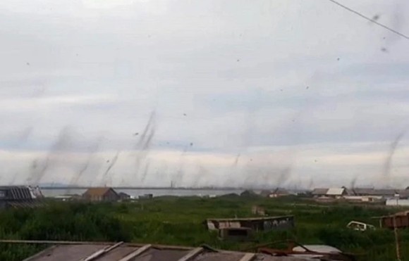 猛暑の影響か？大量発生した「蚊の竜巻」が恐ろしい（ロシア）