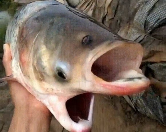 1_e0