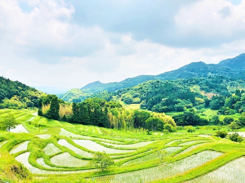 ※画像はイメージです