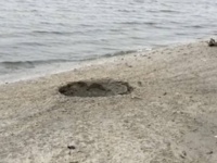 ニューヨークの無人島で謎の爆発。その直後、浜辺にクレーターが出現