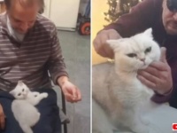 「猫を飼うだと？絶対に許さん！」と言っていたダディ、可愛い子猫に身も心もメロメロに溶かされる
