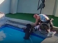 泳げない犬がプールに落ちた！車椅子の飼い主が愛犬救出のためにとった方法とは？