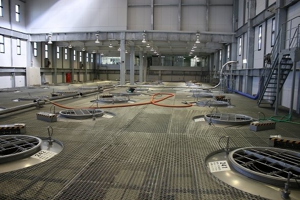 酔ってしまいそうなほど強烈な焼酎の香り