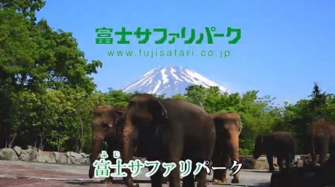 ホントに行きたくなってきた（画像は富士サファリパーク公式チャンネルより）