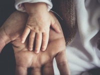 親が経験した記憶も子供へと受け継がれる（米研究）