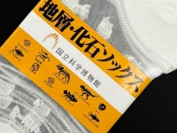 「欲しい欲しい欲しい！」「買うだろこんなもん」　上野・国立科学博物館の靴下がひれ伏したくなる可愛さ