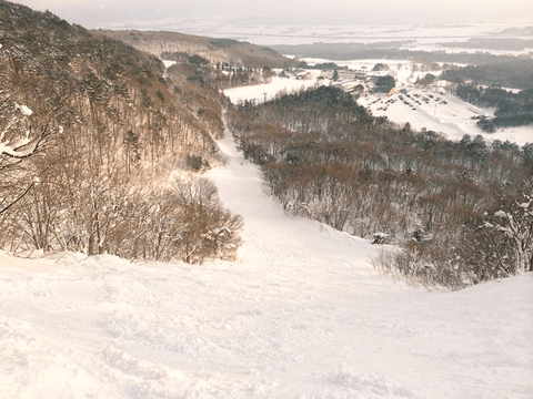 【ウィンタースポーツ】スキー体験をするならココ！　おすすめスキー場3選☆#4
