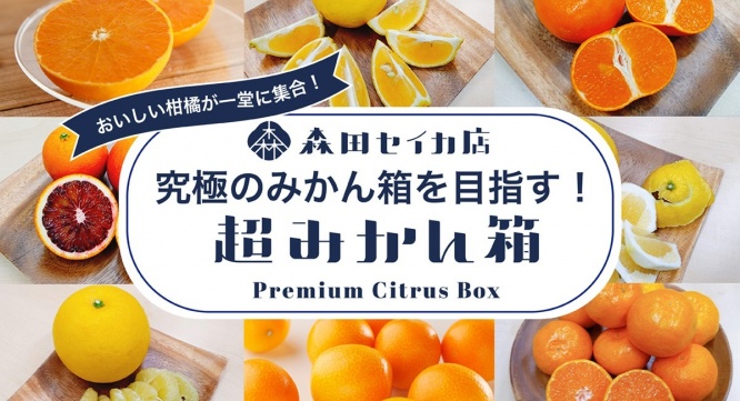 森田セイカ店のプレスリリース画像