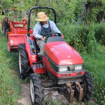 写真はイメージです