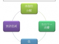 合同会社　メンタルナビのプレスリリース画像