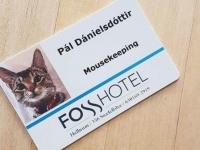 この度、正式に採用されましたのでよろしく！アイスランドのホテルに勤務する猫