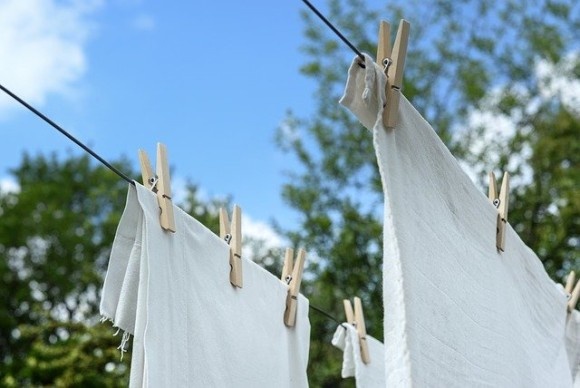 white-3395699_640_e