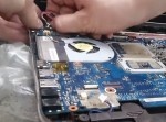 【虫注意】見ない方がいいかも！？　ＰＣの中はヤバイことになっている…