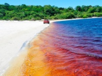 思わず飲みたくなる？コーラ色をしたブラジルのアララクアラ湖