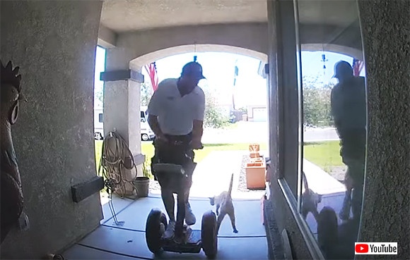 猫界の当たり屋？神出鬼没の猫たちが引き起こす接触事故