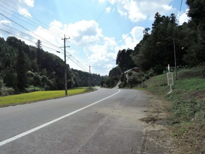 反対側のバス停まで、一緒に（画像はイメージ）