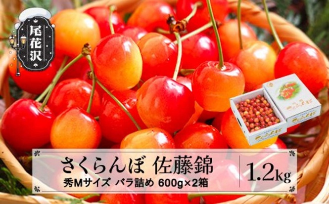 山形県 尾花沢市「さくらんぼ 佐藤錦 秀Mサイズ 1.2kg(600g×2箱)」18000円(ふるさとチョイスより)