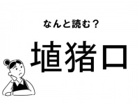 【難読】なにこれ？「埴猪口」の正しい読み方