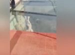 恐怖も危険度も倍増！　中国の『ガラス歩道』にシートが…