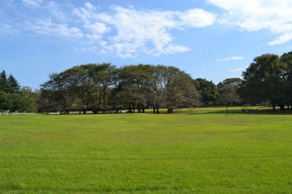砧公園