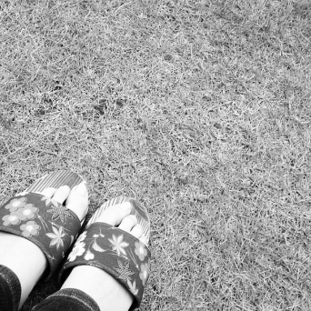 ※画像はイメージ（撮影＝erizof flickrより）